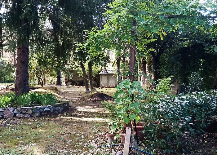 Magia Di Mare 斯培西亚